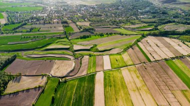 Güneşli bir yaz gününde bir buğday tarlasının havadan görünüşü