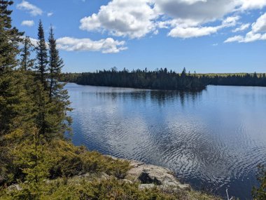 A scenic view of a river surrounded by forest with blue cloudy sky above