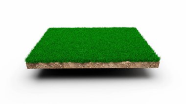 A 3D rendering of a square of green grass field isolated on a white background
