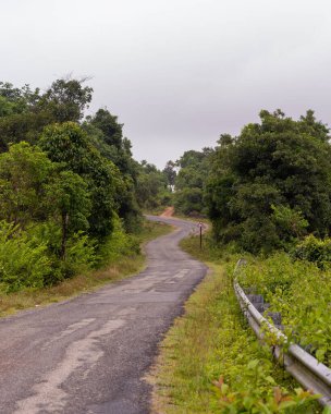 A narrow rural road surrounded by dense vegetation on a cloudy day