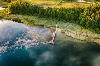 Ağaçları, otları ve yeşil manzarası olan güzel bir göldeki iskelenin insansız hava aracı görüntüsü.