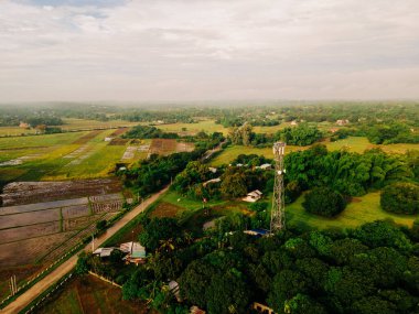Yeşil ağaçlar ve tarım alanlarıyla çevrili kırsal evlerin havadan görünüşü