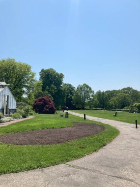 Parkta güzel bir patika manzarası