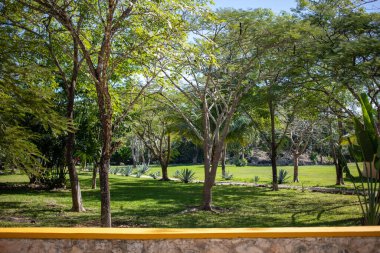 Duvarın arkasında güneşli bir park