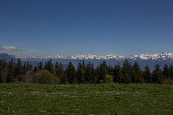 Beautiful Green Landscape Field Alpine Mountains Distance Blue Sky Vercors —  Fotos de Stock