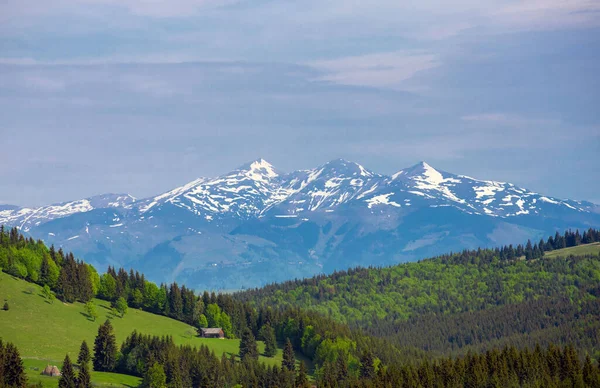 Paisaje Con Las Montañas Calimani Visto Desde Paso Tihuta Rumania —  Fotos de Stock