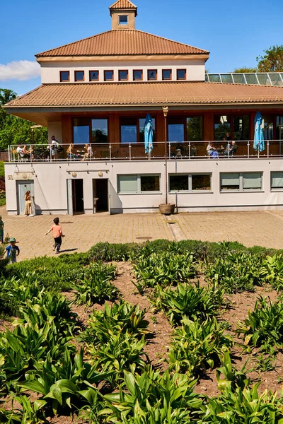 Vertical Shot Green Shrubs Restaurant Hortus Botanicus Uam Botanical Garden — Foto Stock