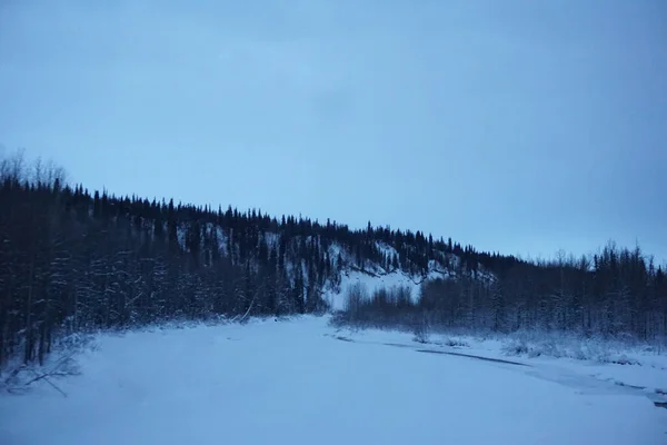 Beautiful View Snowy Forest Alaska — Stockfoto