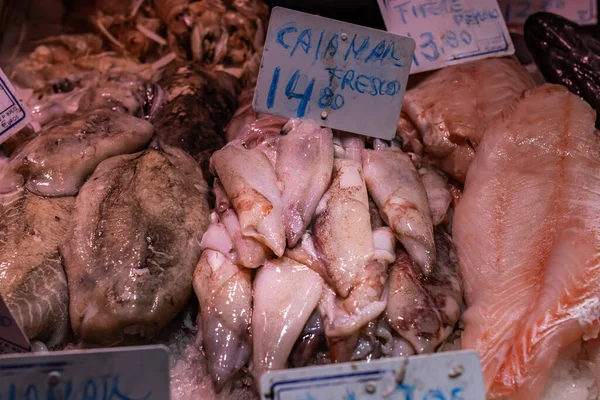 Cuttlefish Squid Fresh Fish Boqueria Market Barcelona Spain Sign Translated — Stock Photo, Image