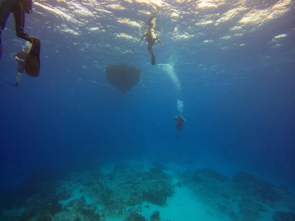 A scenic view of a group of people scuba diving in Cozumel, Mexico
