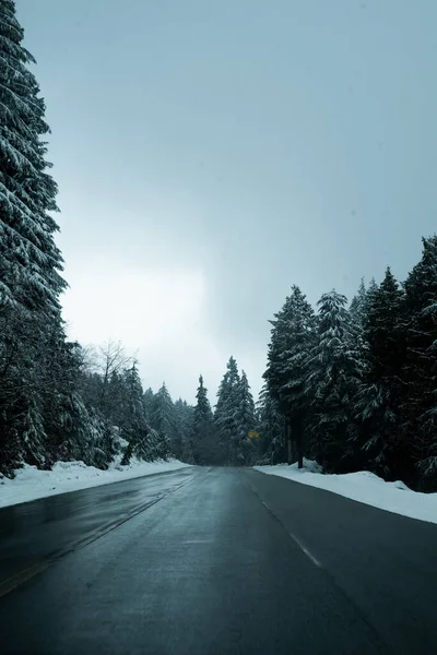 加拿大温哥华柏树山上的一条被白雪覆盖的森林环绕着的道路 — 图库照片