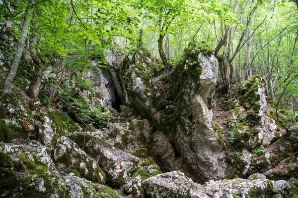 Hidden Andsmall Cave Grza Serbia — Stock Photo, Image