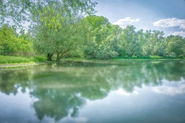 A scenic view of a shore covered with greenery against a blue lake on a sunny day