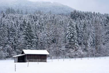 Ormanda karla kaplı güzel bir ahşap kulübe manzarası.