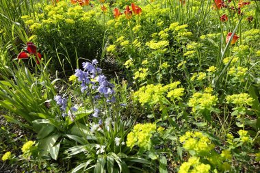 Hildesheim, Aşağı Saksonya, Almanya, arka plan veya duvar kağıdı olarak kullanın