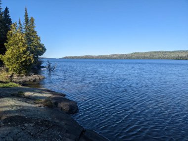 A scenic view of a river surrounded by forest with blue sky above
