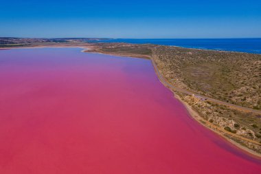 An aerial view of Hutt Lagoon pink lake and the Indian ocean