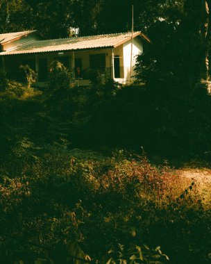 Gündüz vakti ağaçlarla çevrili bir apartmanın dikey görüntüsü..