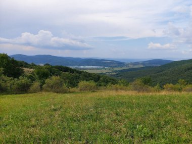 Arkaplanda bulutlu bir gökyüzünün altında sık ağaçlar ve dağlar olan yeşil bir tarla.