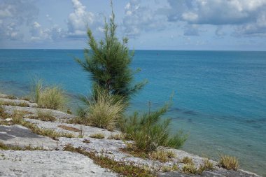 İrlanda Adası 'nda güzel bir çekim, Bermuda' da Sandys Parish.