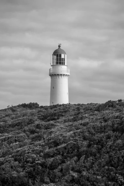 A vertical shot of white lighthouse surrounded by growing trees in black and white