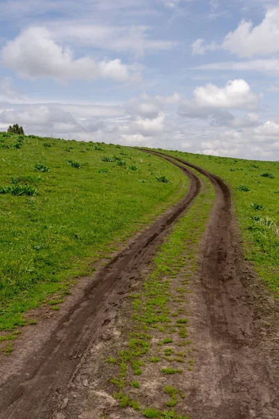 Tracks Car Muddy Grassland Blue Sky Bright Sunlight — Zdjęcie stockowe