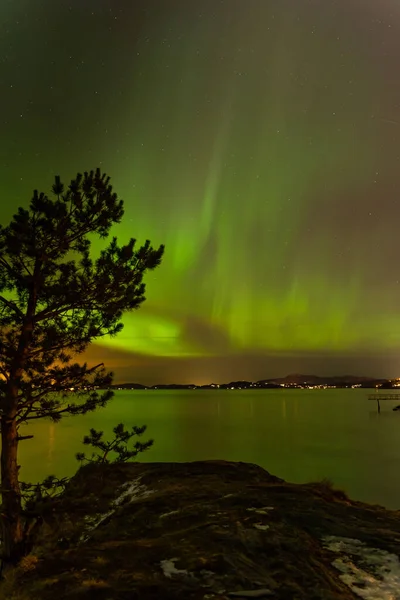 Plan Vertical Northern Lights Vert Vif Dessus Lac — Photo