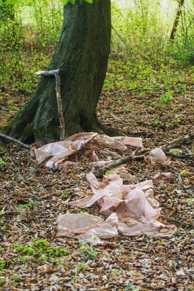 Vertical Shot Thrown Rubbish Forest Ecology Pollution Concept — Stock Photo, Image