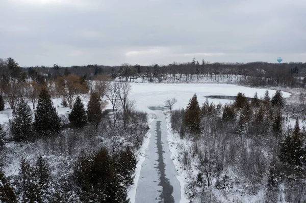 Över Frusen Skog Vintern Med Träd Täckta Med Snö Och — Stockfoto
