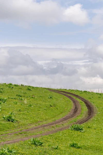 Tracks Car Muddy Grassland Blue Sky Bright Sunlight — Zdjęcie stockowe