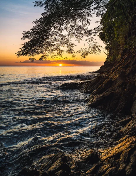 A vertical shot of splashing waves on a lake shore under a tree at sunset