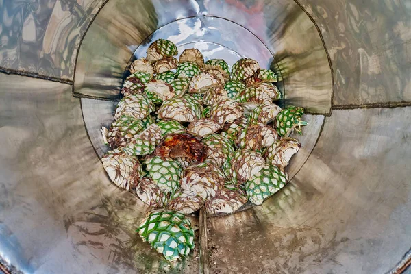 Agave Piña Cortado Listo Para Cocinar Dentro Del Horno — Foto de Stock