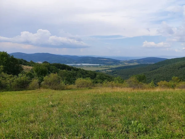 Arkaplanda bulutlu bir gökyüzünün altında sık ağaçlar ve dağlar olan yeşil bir tarla.