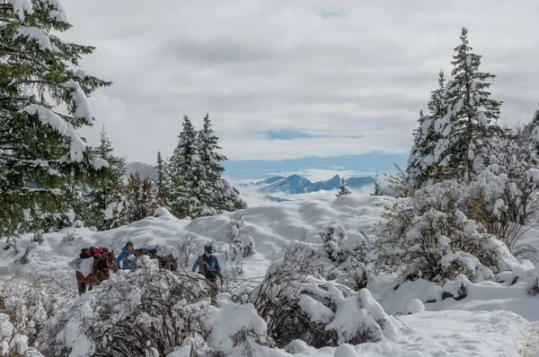 Una Vista Gente Caminando Por Paisaje Con Campo Cubierto Nieve — Foto de Stock