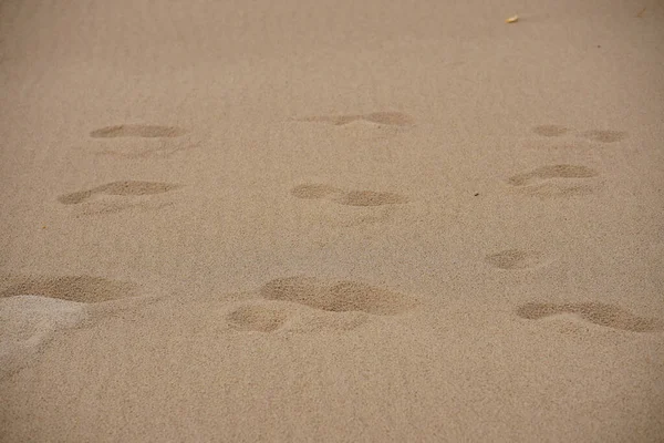 Живописный Снимок Пляжного Песка Вокруг Моря Следами — стоковое фото