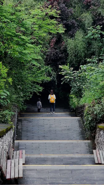 Vertical Shot Long Stairway Botanical Park — Stock Photo, Image