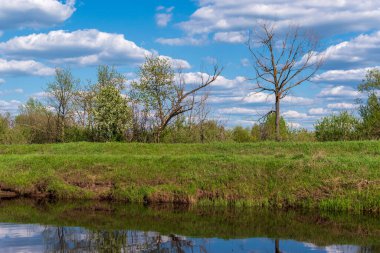 Güzel bir nehir manzarası yansıyan yeşil ağaçlar ve mavi gökyüzünün altındaki çimenler.