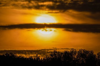 Gün batımında bulutlu bir turuncu gökyüzünün altındaki tarlada bir bitki silueti.
