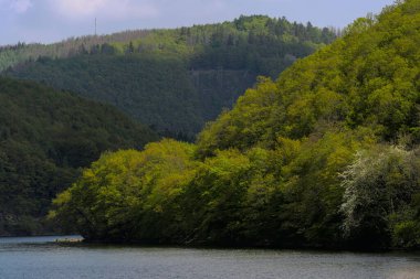 Sudaki yüksek yeşil dağların büyüleyici manzarası ve Almanya 'daki Eifel Ulusal Parkı' nda mavi bir gökyüzü.