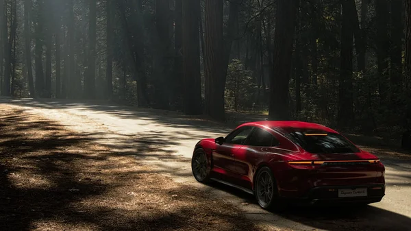 Back View Red Porsche Taycan Turbo Road Next Forest Antalya — Stock Photo, Image