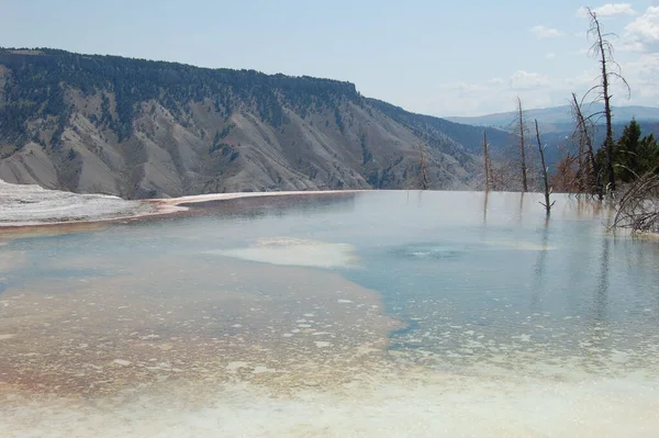 Verhite Voorjaar Infinity Zwembad Uitzicht Met Een Weinig Mist — Stockfoto