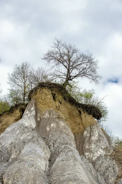 Nízký Úhel Pohledu Sráz Solnými Kameny Stromy — Stock fotografie