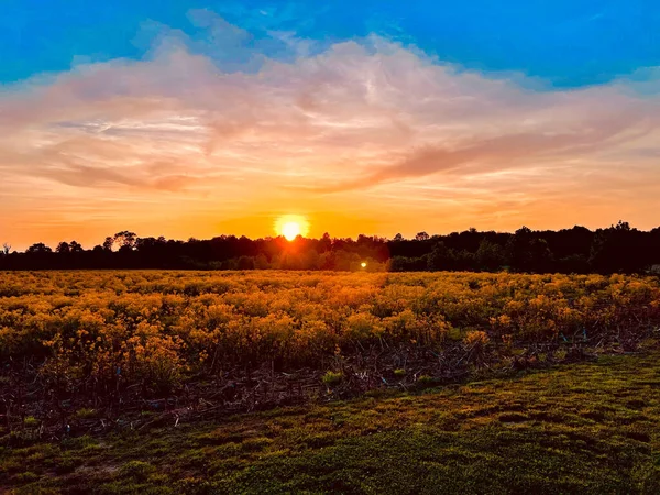 Eine Charmante Lebendige Sonnenuntergangsszene Land — Stockfoto