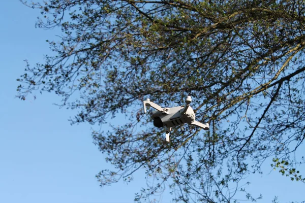 Biały Dron Powietrzu Tle Gałęzi Drzew Błękitnego Nieba — Zdjęcie stockowe