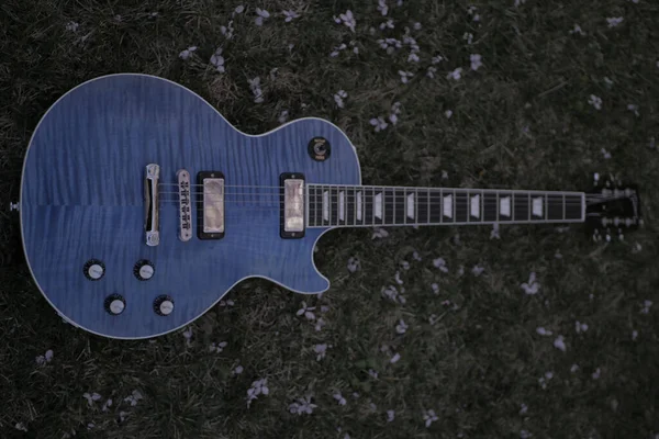 Eine Aufnahme Einer Blauen Gitarre Gras Auf Dem Boden — Stockfoto