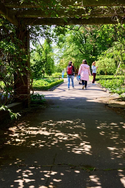 在波兰波兹南 一个阳光明媚的日子里 成人和孩子们在乌乌阿摩植物园的一条蒙面人行道上散步时的垂直镜头 — 图库照片