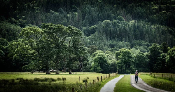 アイルランドのキラーニーの美しい緑に囲まれたケリーのリングを歩く人 — ストック写真