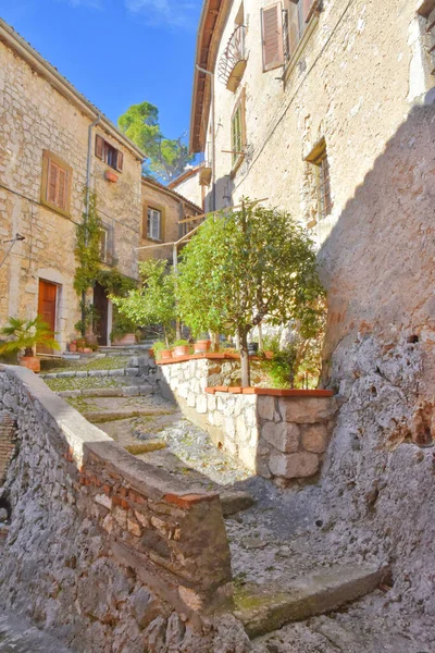 Wąska Uliczka Starymi Budynkami Roślinami Mieście Veroli Regionie Lacjum Włoszech — Zdjęcie stockowe
