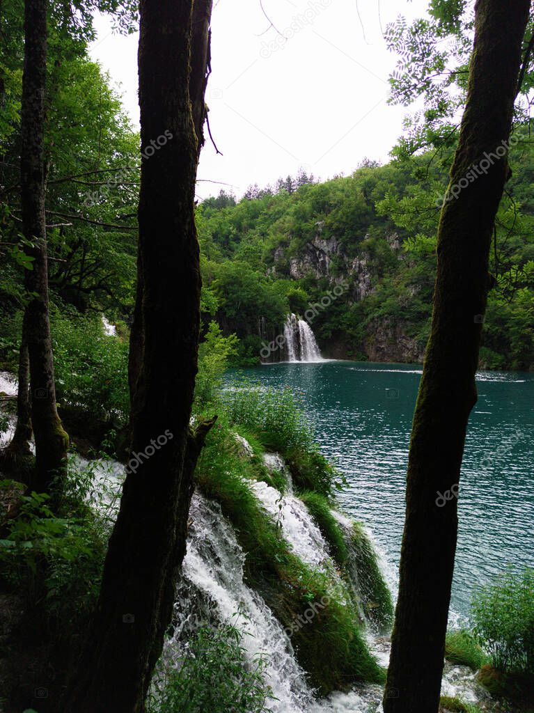 A vertical shot of Plitvice Lake with Waterfall from behind a tree in National Park in Croatia