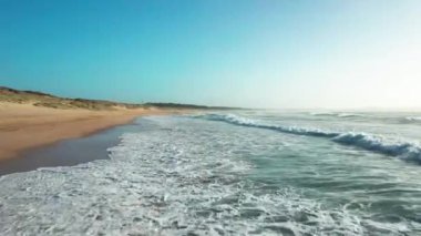 A movement around water waves breaking beach surrounded by green trees